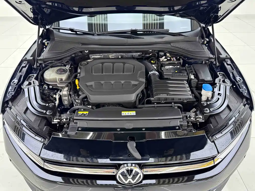 Volkswagen Magotan 2024