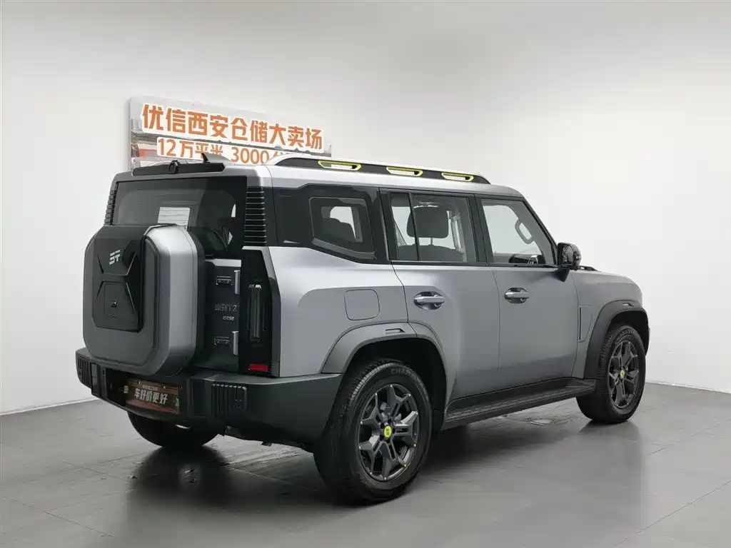Shanhai Traveller C-DM 2024 — фото 2