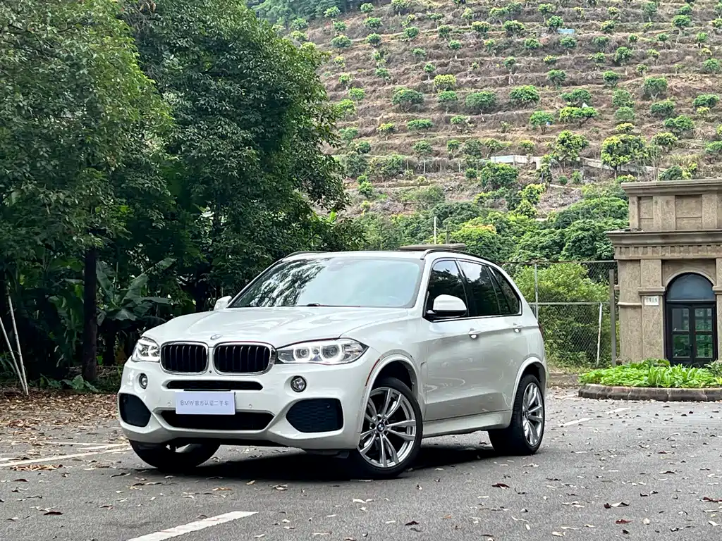 BMW X5 2019 — фото 1