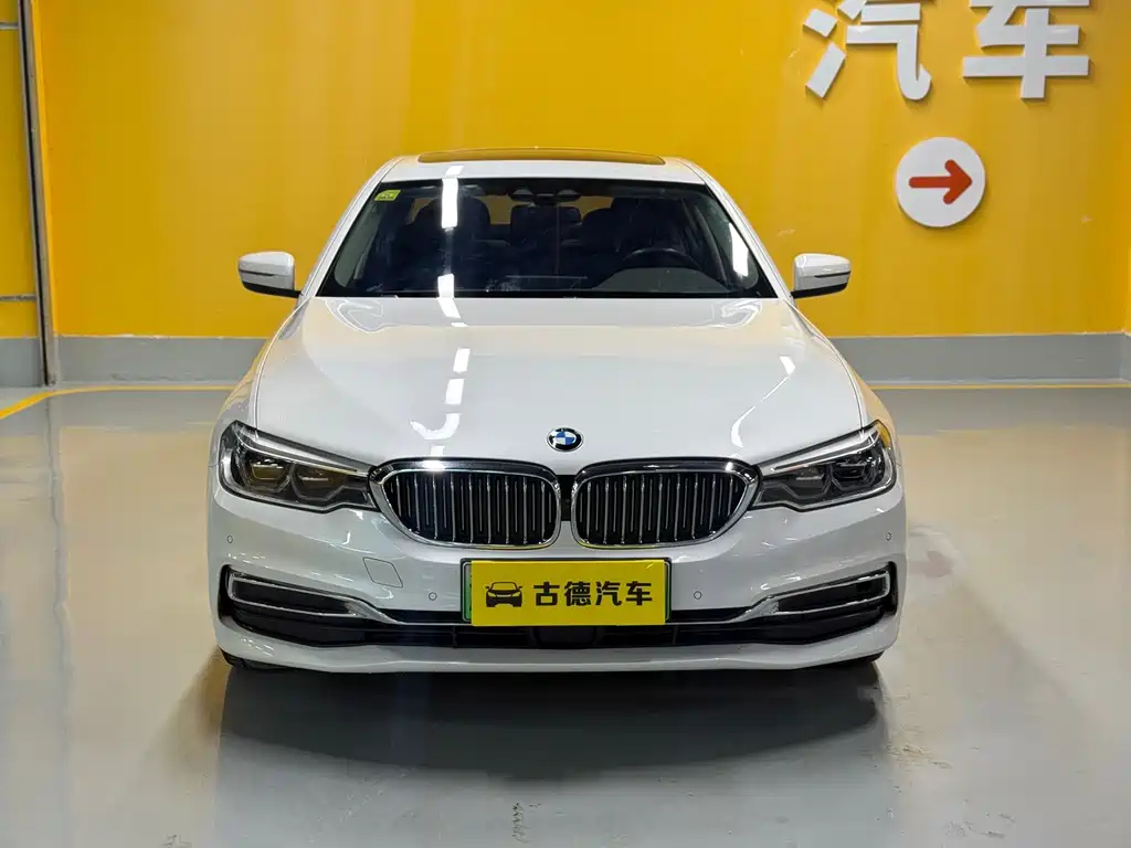 BMW 5 Series New Energy 2020