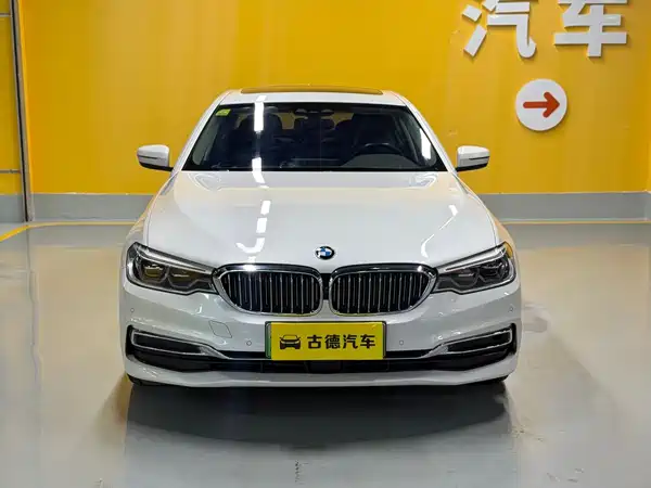 BMW 5 Series New Energy 2020