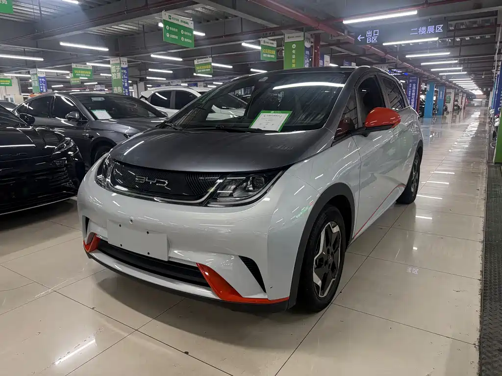 BYD Dolphin 2022