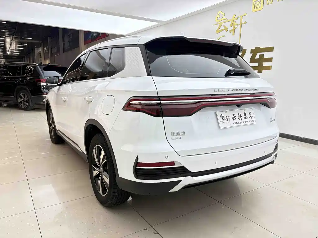 BYD Pro New Energy 2023 — фото 14