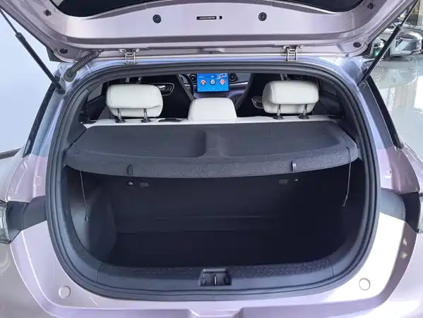 BYD Dolphin 2022