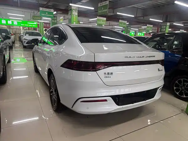 BYD Qin PLUS 2021