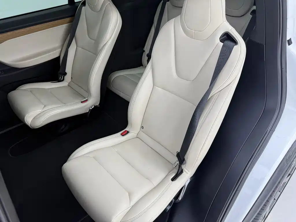 Tesla Model X 2019 — фото 18