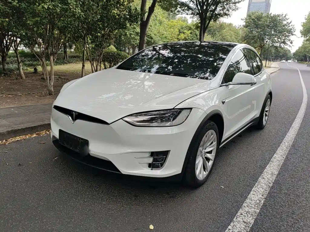 Tesla Model X 2019 — фото 2