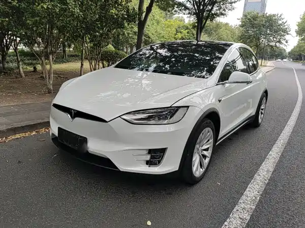 Tesla Model X 2019