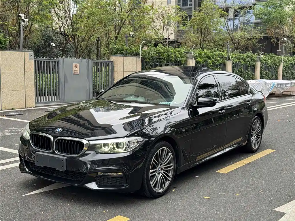 BMW 5 Series 2017 — фото 1