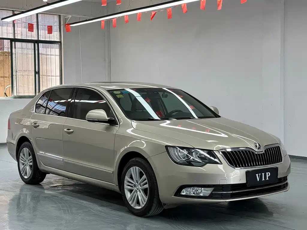 Skoda Speedy 2014