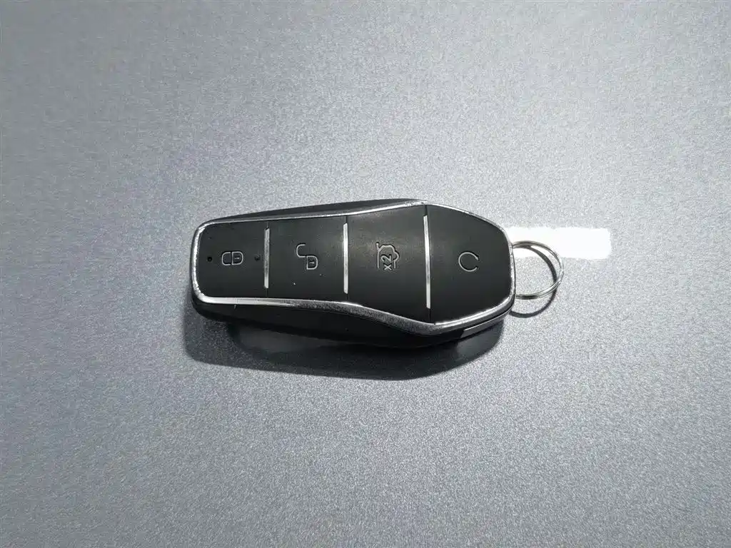 BYD Pro New Energy 2024 — фото 19