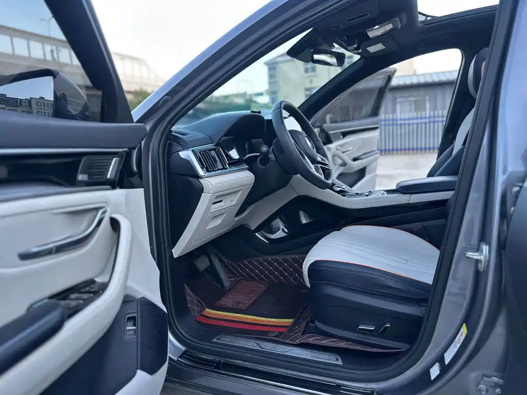 BYD Song PLUS New Energy 2021 — фото 4