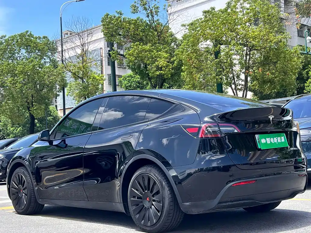 Tesla Model Y 2023 — фото 12