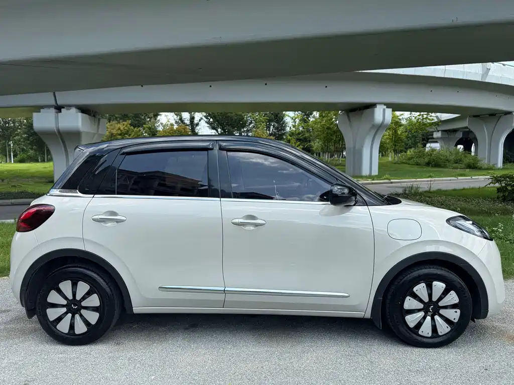 Wuling Bingo 2024
