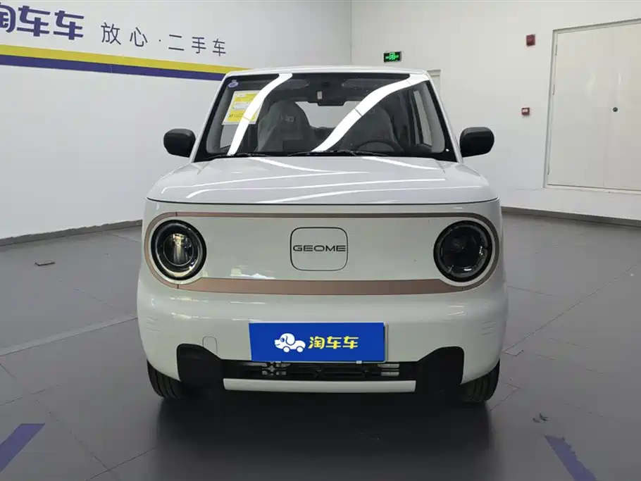 Geely Galaxy Panda 2024