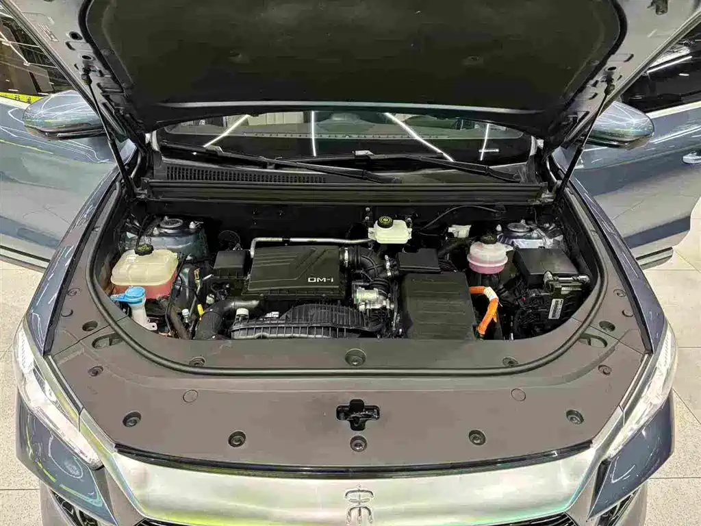 BYD Pro New Energy 2023 — фото 30