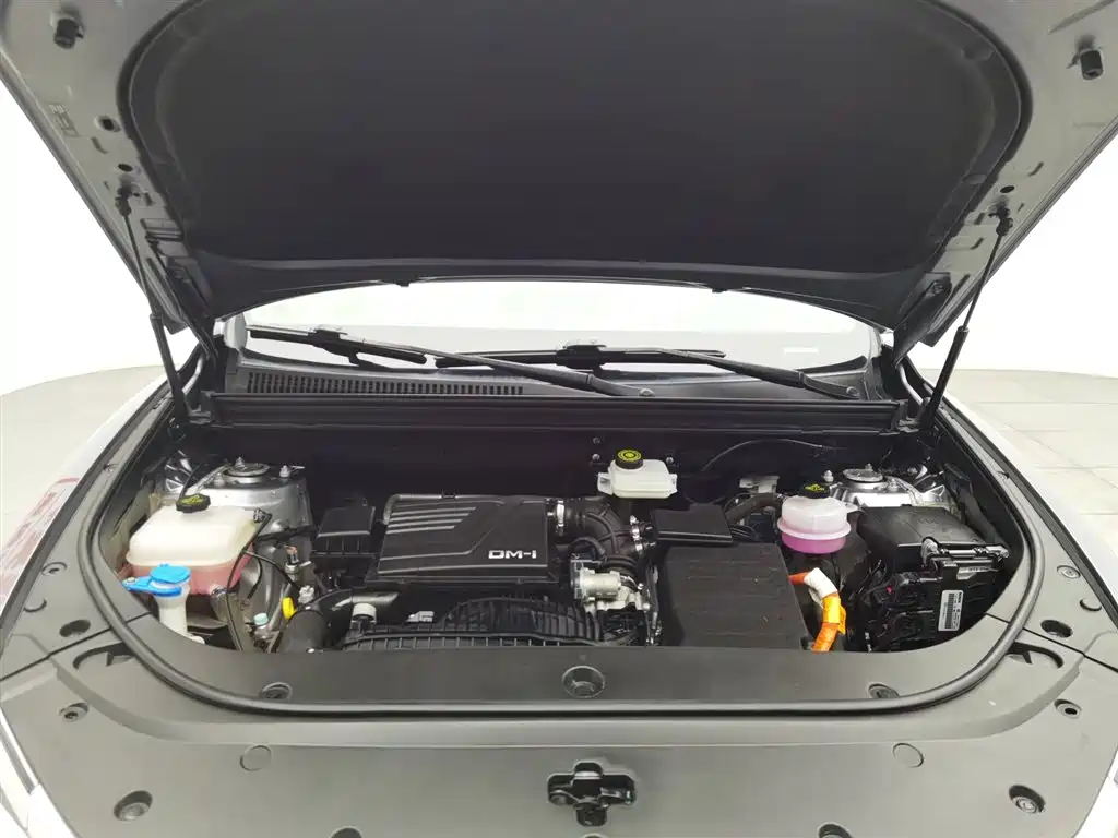 BYD Pro New Energy 2024