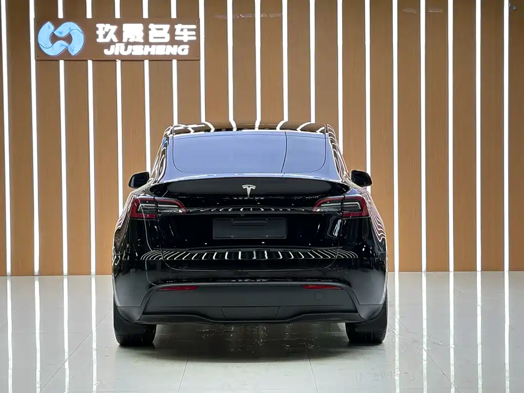 Tesla Model Y 2023 — фото 12