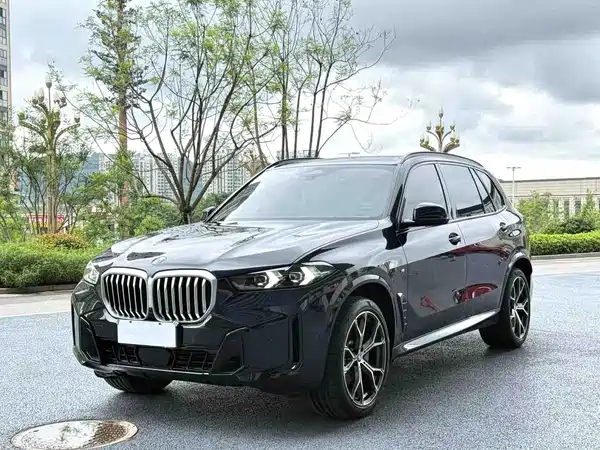 BMW X5 2025