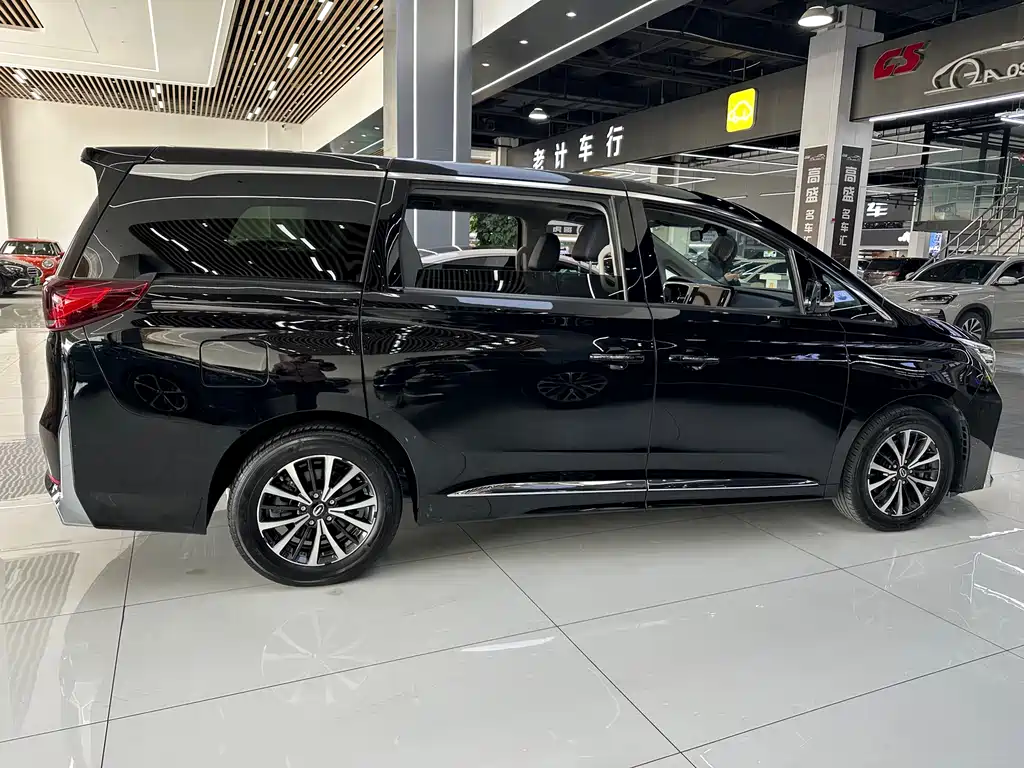 GAC Trumpchi M8 2024 — фото 21