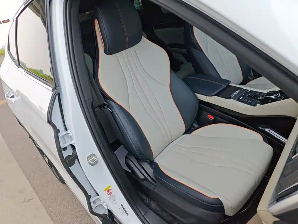 BYD Song PLUS New Energy 2022 — фото 25