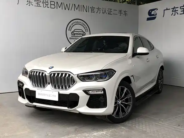 BMW X6 2021