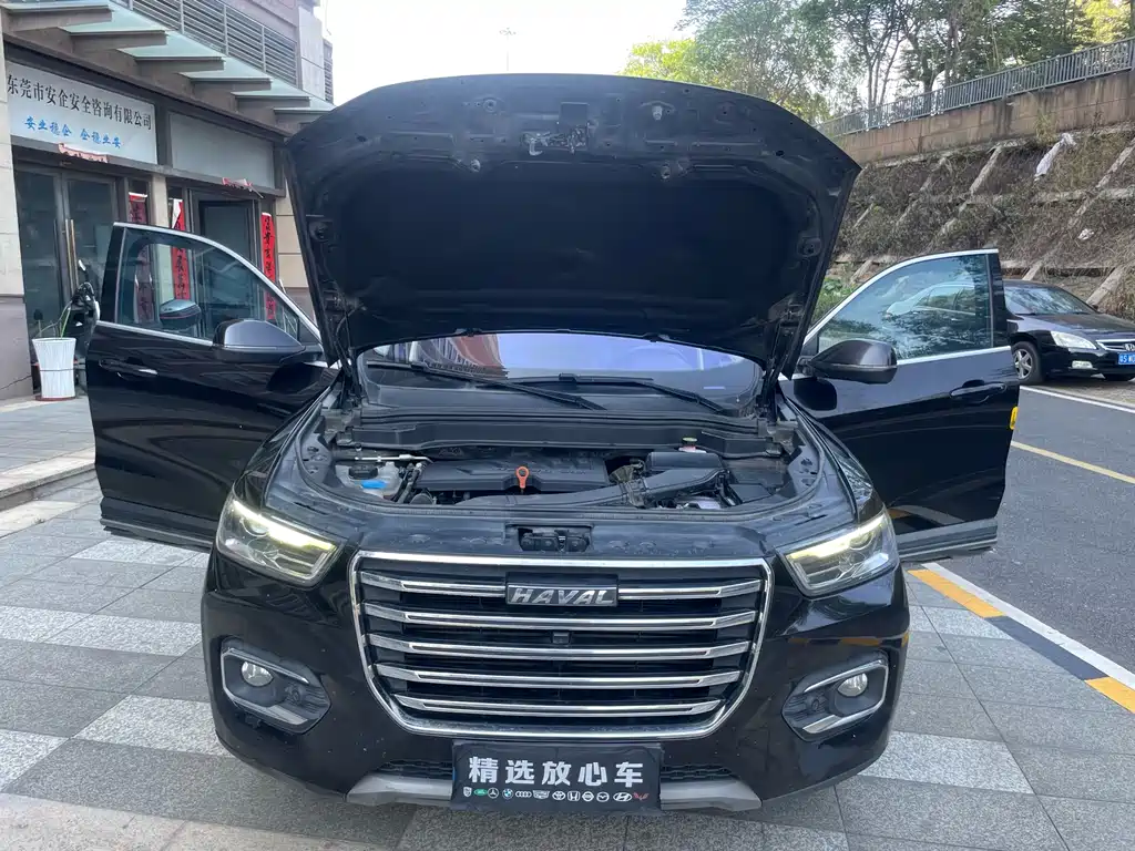Haval H6 2019 — фото 18