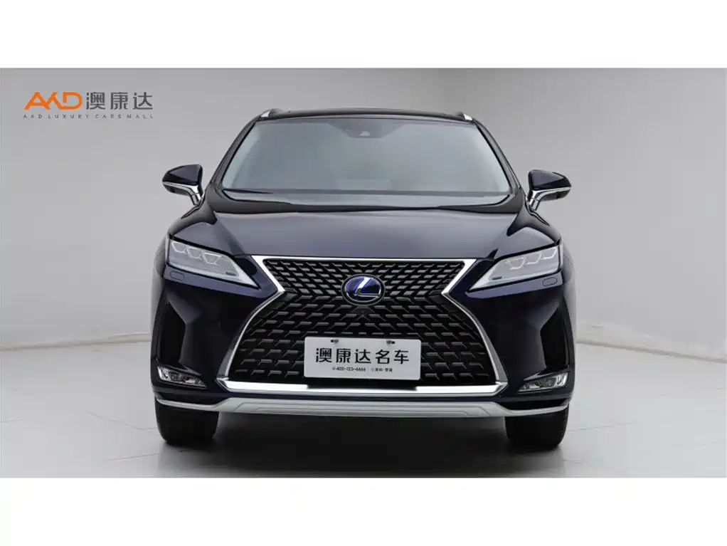 Lexus RX 2020 — фото 2