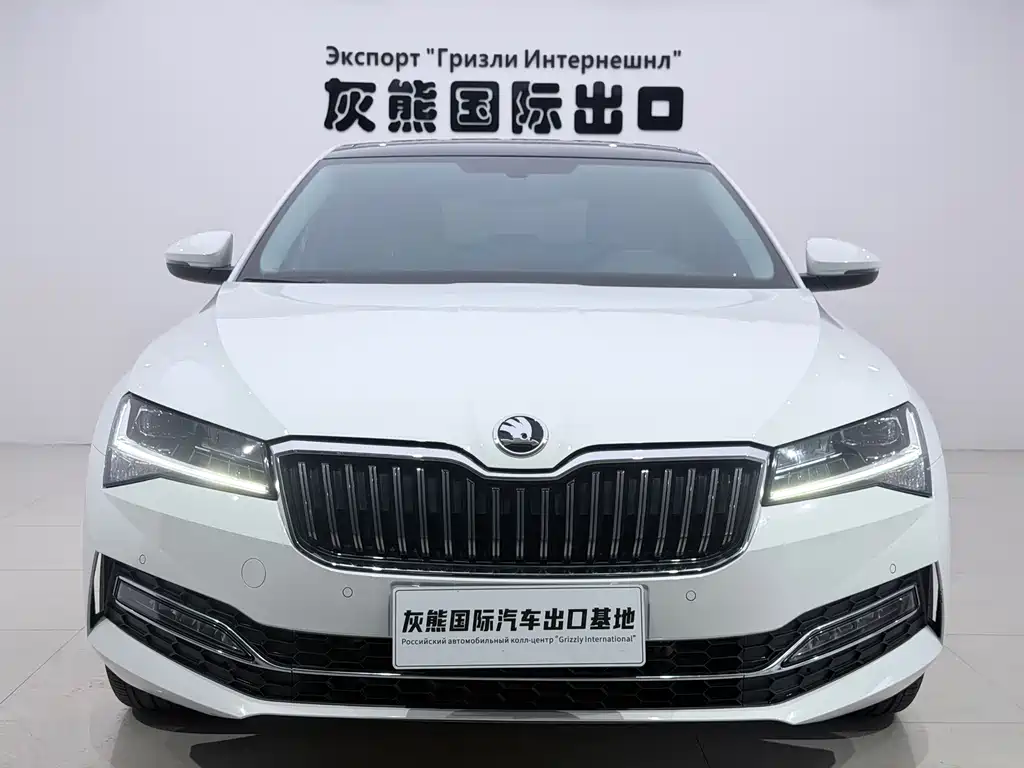 Skoda Speedy 2024
