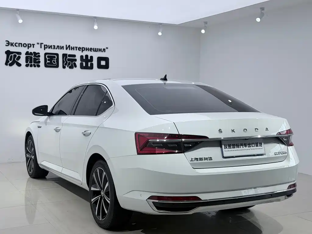 Skoda Speedy 2024