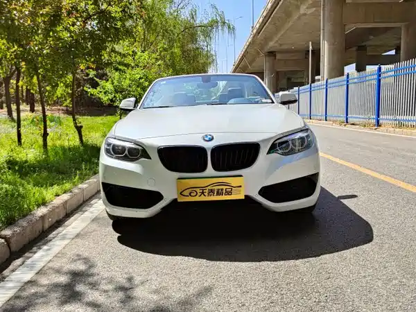 BMW 2 Series 2020