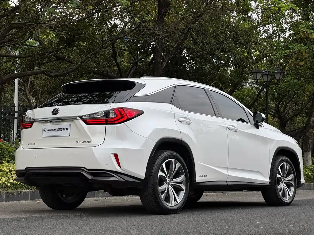 Lexus RX 2016 — фото 6
