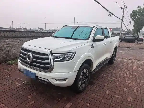 Great Wall Poer 2021