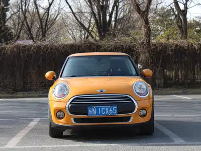 MINI MINI 2014