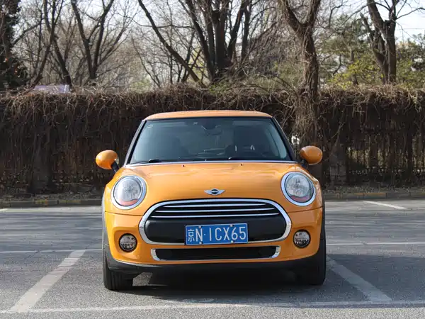 MINI MINI 2014