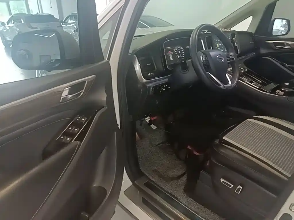 GAC Trumpchi M8 2021 — фото 16