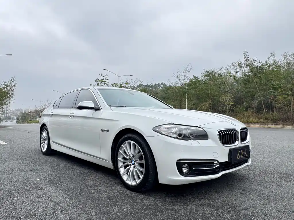 BMW 5 Series 2017 — фото 2