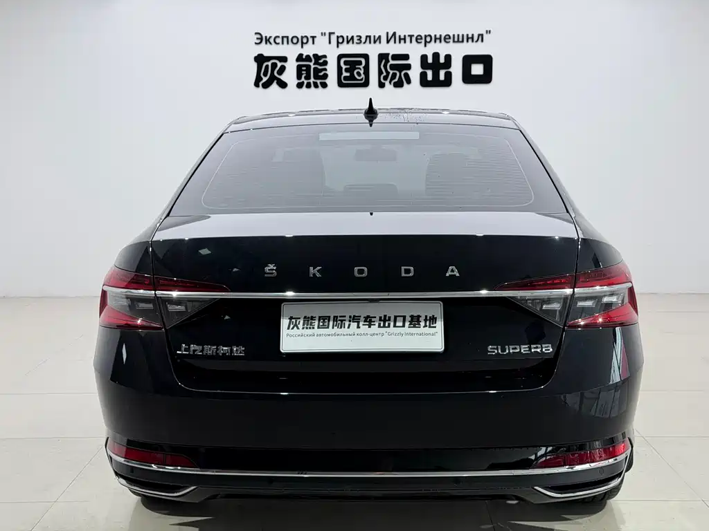 Skoda Speedy 2024
