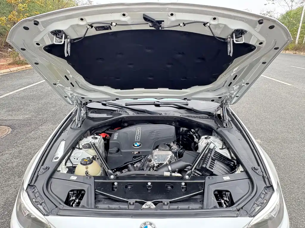 BMW 5 Series 2017 — фото 14