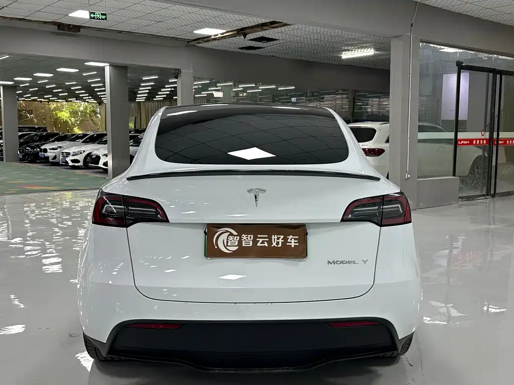 Tesla Model Y 2023 — фото 8