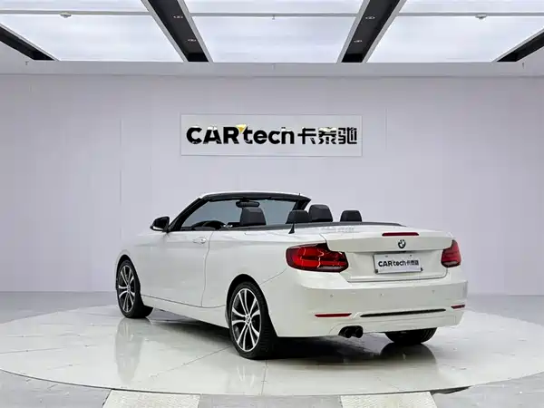 BMW 2 Series 2019