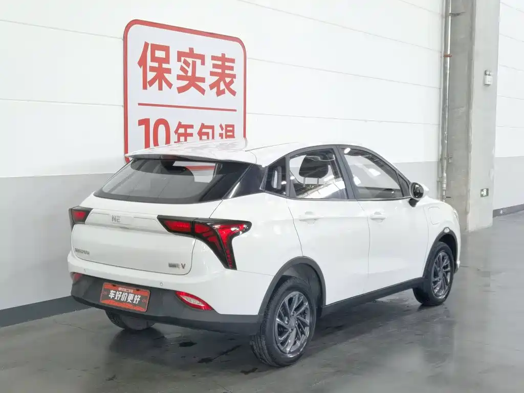 Neta V 2021