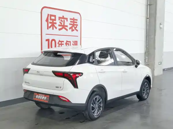 Neta V 2021