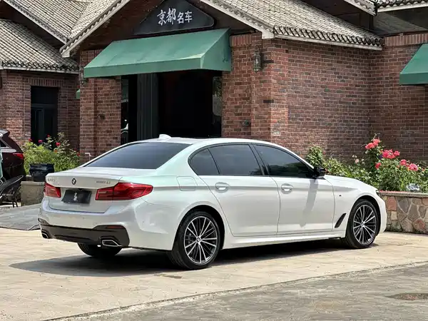 BMW 5 Series 2019