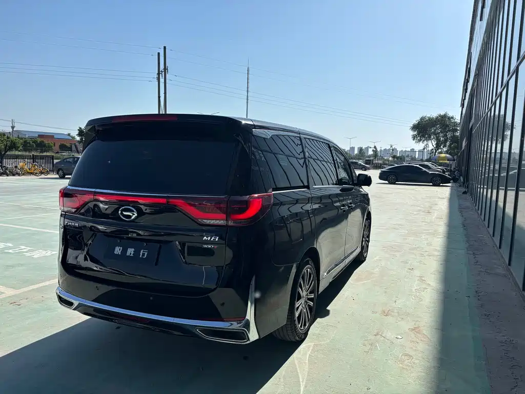 GAC Motor Trumpchi M8 2023 — фото 12