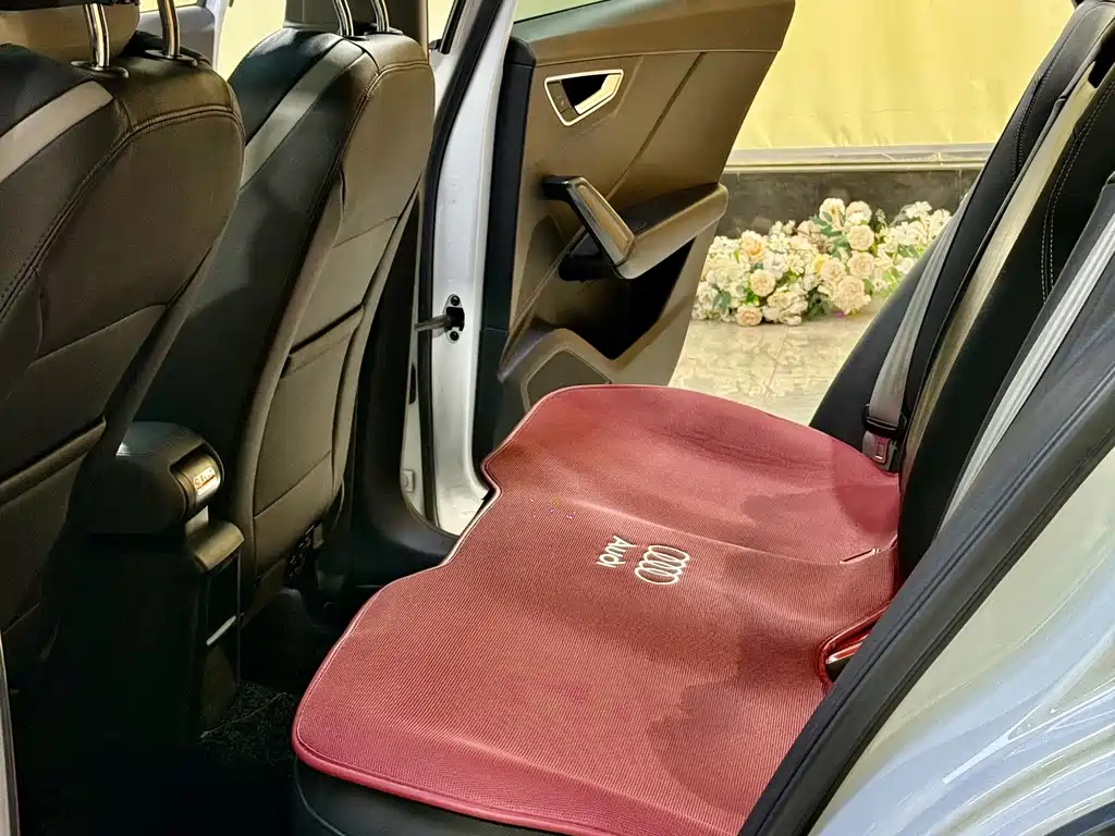 Audi Q2L E-Tron 2020