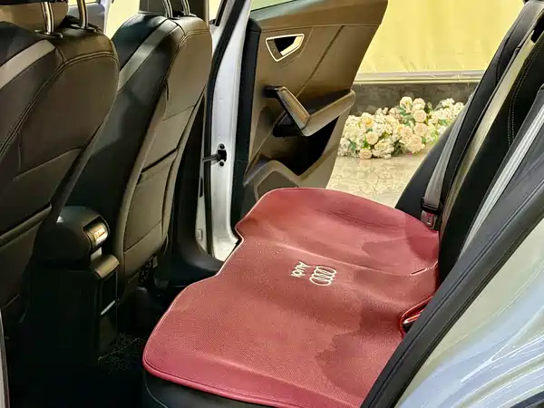 Audi Q2L E-Tron 2020