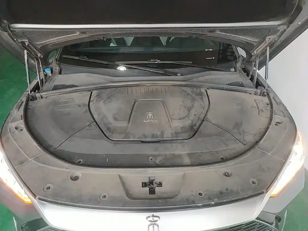 BYD PLUS New Energy 2022 — фото 20