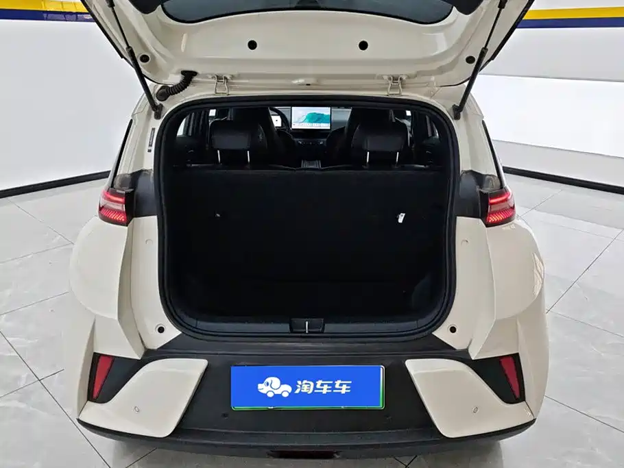 BYD Seagull 2025