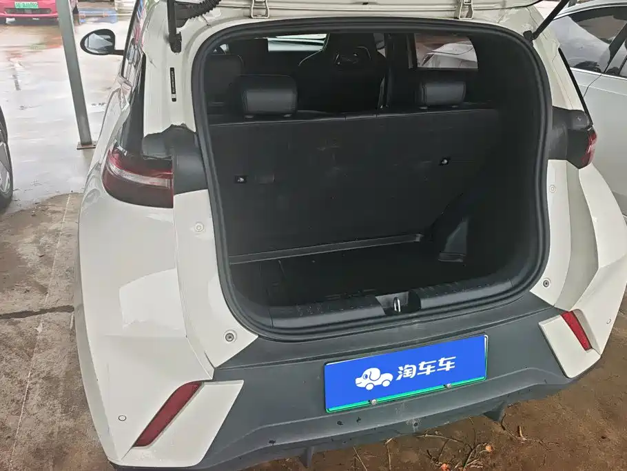 BYD Seagull 2024